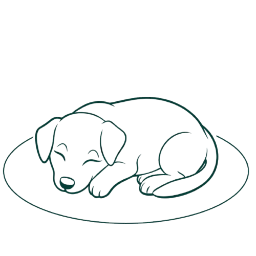 Preguntas Frecuentes